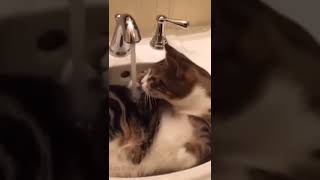 Duş Alıyorum I Am Having A Shower