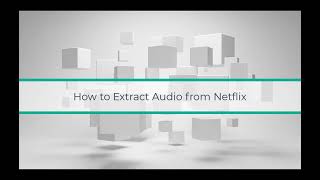 Step-by-Step Guide to Extract Audio From Netflix screenshot 5
