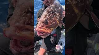 ΔΕΝ ΤΟ ΠΙΣΤΕΥΑ😱😱 #ψάρεμα #fishing #fishing #kayakfishing