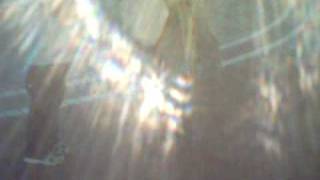 IMG_0001.avi