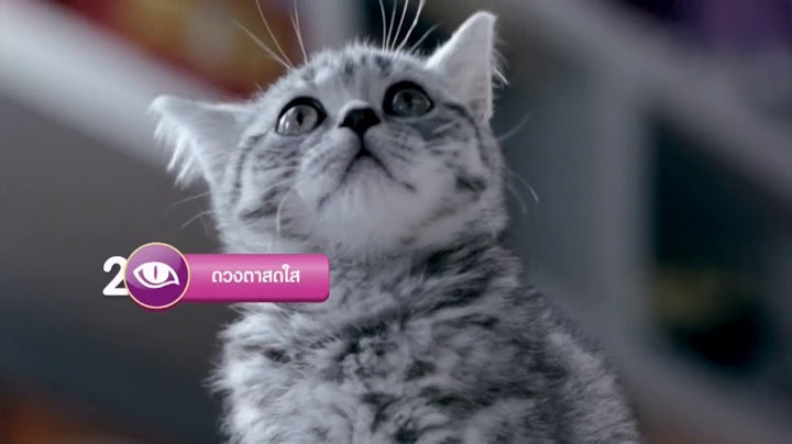 HD TVC-whiskas-2559