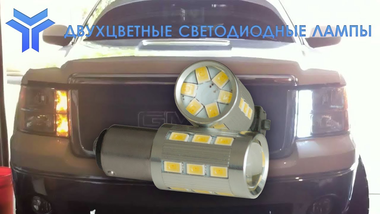 Светка в машине