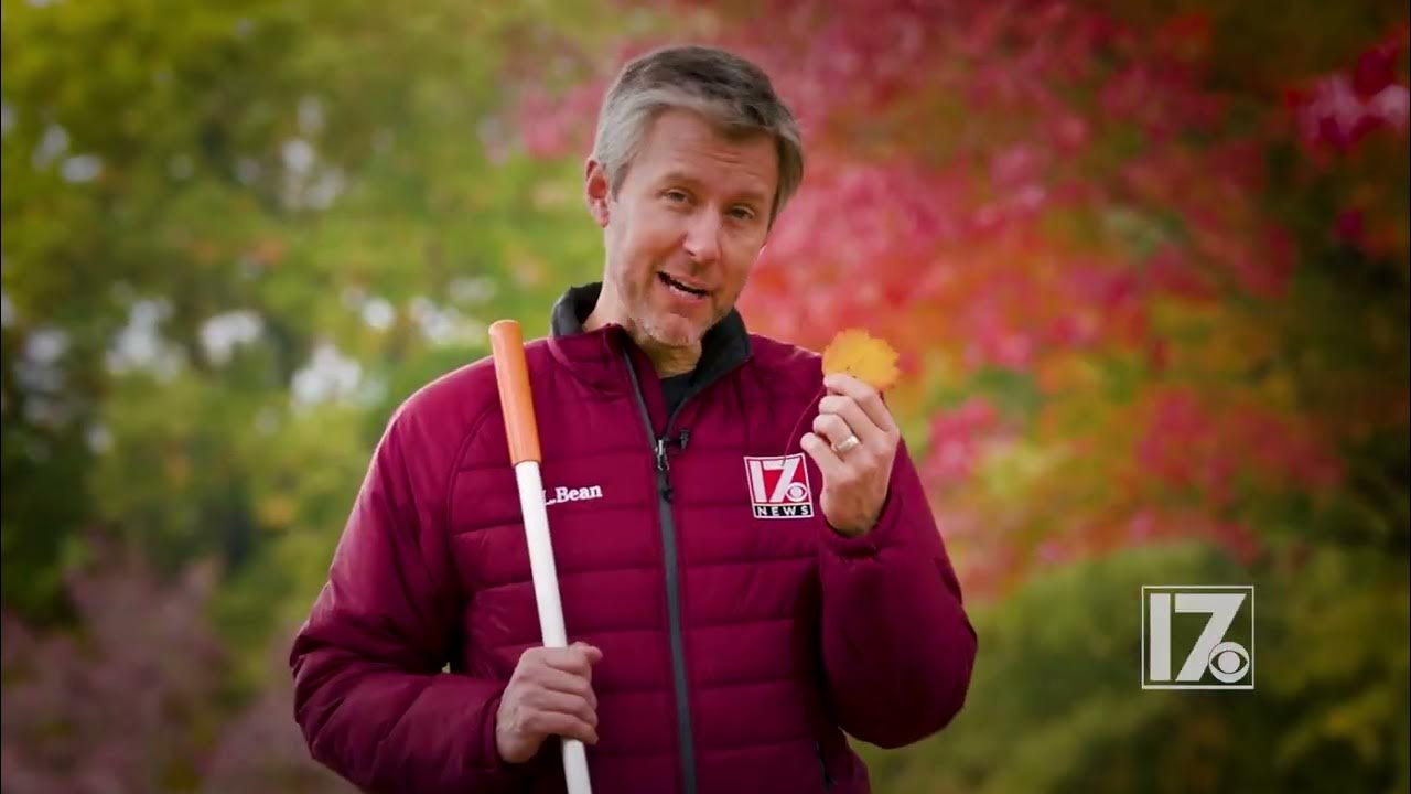 Why Do Leaves Fall Off Trees 2022 Weather Facts Wes Hohenstein