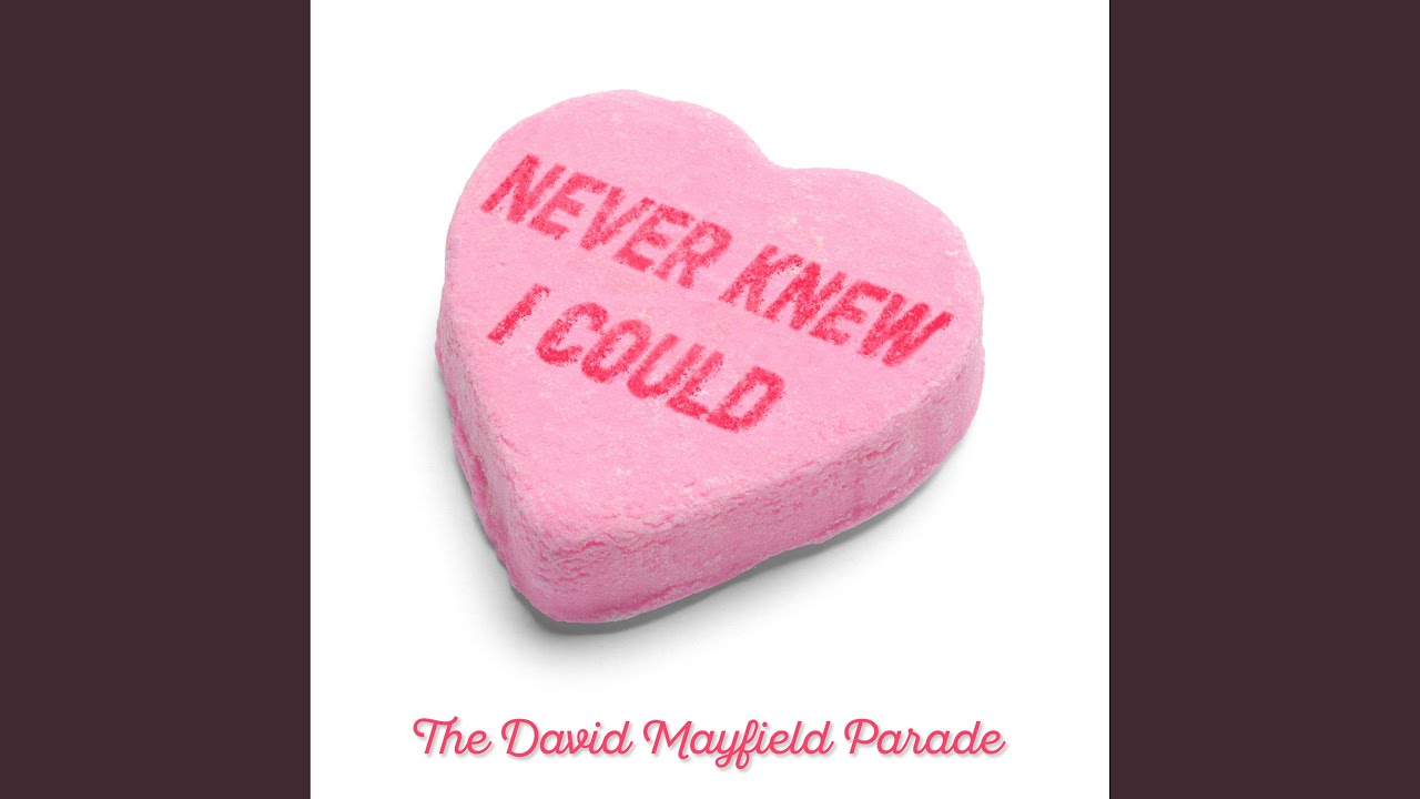 The David Mayfield Parade - Never Knew I Could