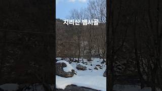 지리산뱀사골 지리산달궁마을 #지리산뱀사골 #지리산달궁마을 #정자나무식당 #정자나무펜션