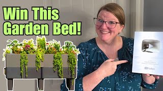 One of YOU Will Win Our Favorite Garden Bed! (100K Giveaway!)