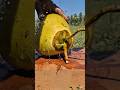 Perfect ASMR | coconut cutting | #asmr #shorts