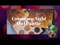 COLOURPOP NIGHT OWL REVIEW + SWATCHES *LIMITED EDITION*