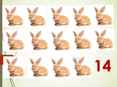 Count and say the number KG-1 April (26th to  30th)