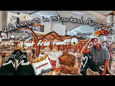 TRAVEL VLOG 2|STUCK IN ISTANBUL AIRPORT FOR 22+ HOURS| FREE MEALS!| WALKING TOUR| LONG LAYOVER|