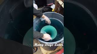Copper Plating a Euphonium Bell #repair #brass #restoration #electroplating