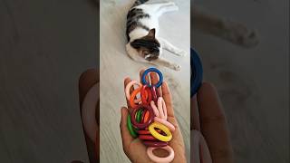 Cat Bella Beads 🌈🌸 Umgekehrtes Video #marblerunandmore #cat #reverse