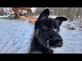 Homemade Sawmill Walk-around
