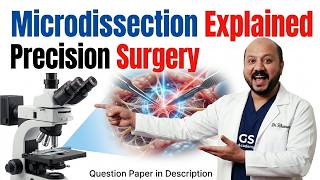 What is Microdissection? How Surgeons Perform Precision Surgery at Microscopic Level