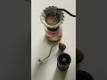 Brewing with Love #coffee #coffeemaking #viralvideo #viralshorts #fyp #Mazhabkopi #asmr