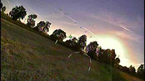 problem z 2Pineapples Diversity