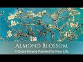 Van Goghs Almond Blossom A Quiet Miracle Painted for New Life