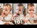 Everything You Need To Know About BABY LED WEANING