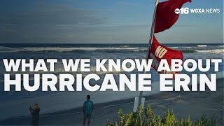 Hurricane Erin threatens east coast communities and wildlife