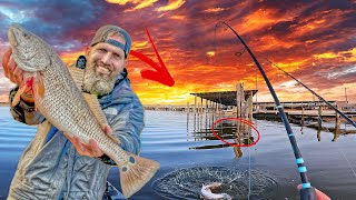 Winter Redfish In Pensacola Florida! (Catch, Clean and Cook) UHD 4k