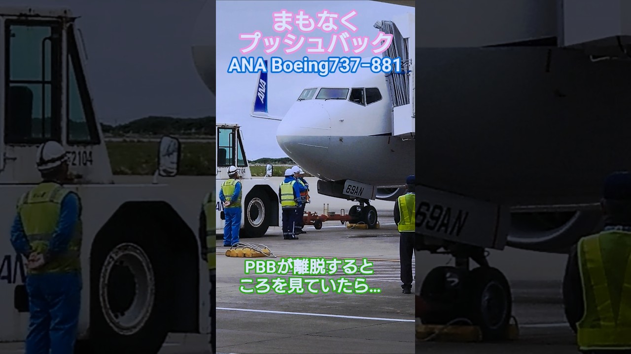 【ショートグラハン動画】🥭まもなくプッシュバック ANA Boeing 737-881 to那覇 PBBが離脱するところを見ていたら、、、いつもグランドハンドリングありがとうございます！#shorts