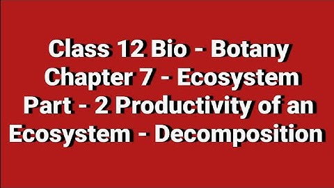 Class 12 / Bio - Botany/Chapter 7 - Ecosystem