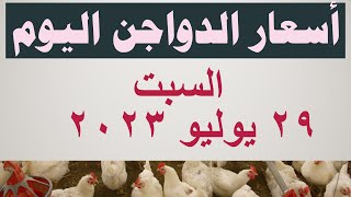 أسعار الدواجن اليوم | سعر الفراخ اليوم في مصر السبت ٢٩ يوليو ٢٠٢٣