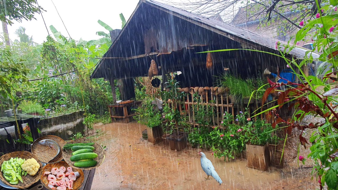 Beautiful Rainy Day in Countryside | Cooking Village Style Food with Organic Dinner