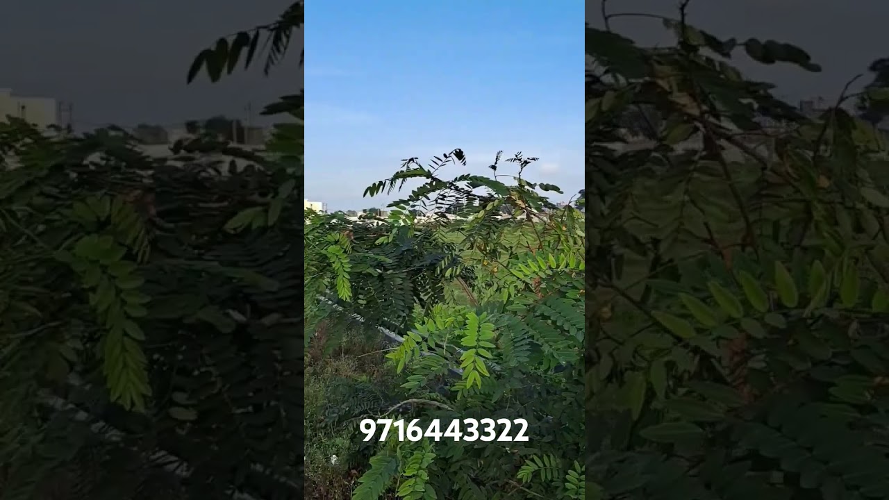 Sector 1 Sabarmati Enclave Ramganga Nagar Yojana Bareilly , Call for Resale 