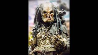 Why Do Higher-Ranked Predators Get Such Better Treatment