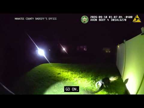 Manatee County Deputies wrangle a gator in a backyard