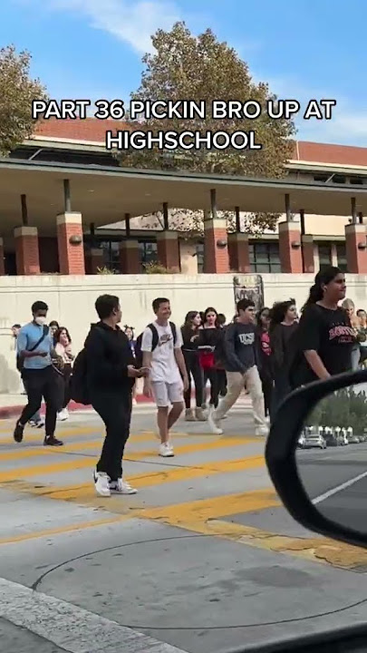 he knew the vibes 😭                                 credit: @edorgoj tiktok