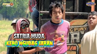 Kebo Ngudag Jaran  Young Satria  Show Junti Indramayu