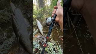 Reel bc seasir dcast dc #mancing #casting