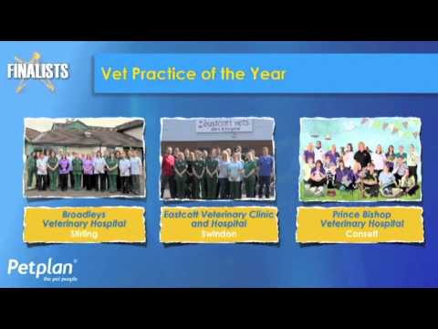 Eastcott Vets Clinic & Hospital Twice Winners Of The Pet Plan UK Vets Practice Of The Year