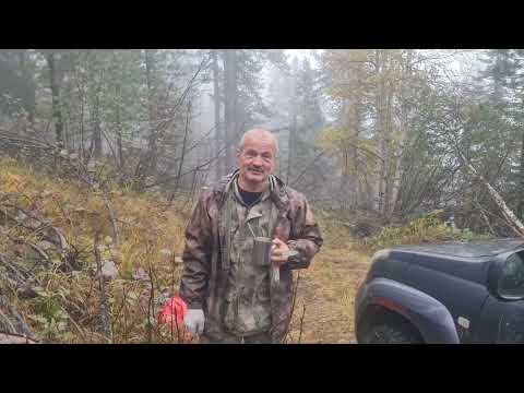Будни рейдов