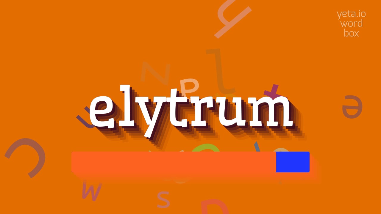 How to say "elytrum"! (High Quality Voices)