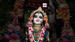 Jay Radha-Madhab 🙏🏻 #shorts #viral #shortvideo #viralvideo @hktv108 @HareKrishnaTV1