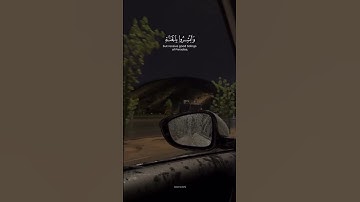 قران كريم #اكسبلور #yasseraldossary #قران_كريم #دويتو #القزابري #المصحف #لايك #راحة_نفسية #تيك_توك