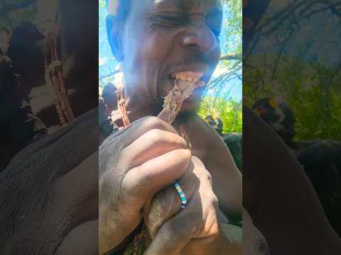 Wow Wow Chaaba Dudukwe Wildlife Safarichanel Trendingvideo Foryou Viralvideo Viral Fyp 