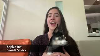 JEVS Franklin Ash Internship 2020 - Sophie