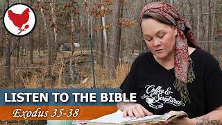 Listening To the Bible | Peaceful Scripture Reading - Exodus 35-38