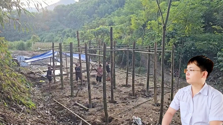 The bamboo house that engineer Thanh made for the poor girl was built