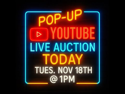 POP UP LIVE Online Auction Tues Nov 18 1pm