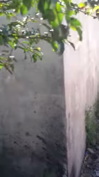 Abandoned Family House Before Clean Up - Operation Cleanup
