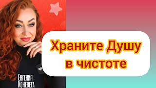 видео: Храните душу в чистоте. Презентация о МЭЦ.  картинка: Храните душу в чистоте. Презентация о МЭЦ.
