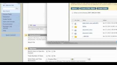 Blackboard 9: Batch Upload 2-Making Files Available