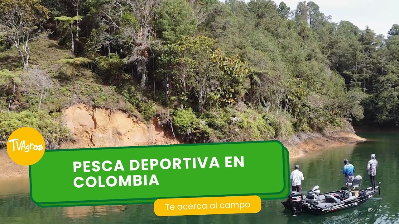 Pesca deportiva en Colombia - TvAgro por Juan Gonzalo Angel Restrepo