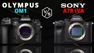 Olympus System OM1 vs SONY A7R IVA