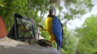 Discover What's Possible - Logitech Accessories for iPad